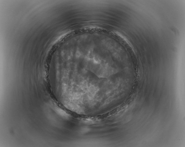 X0000114090823200910191601