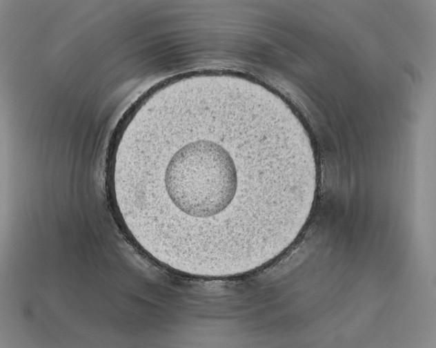 X0000114090828200910191601