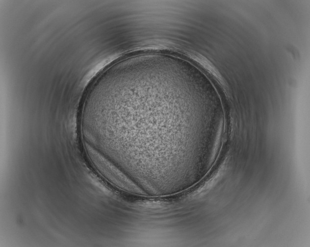 X0000114090834200910191601