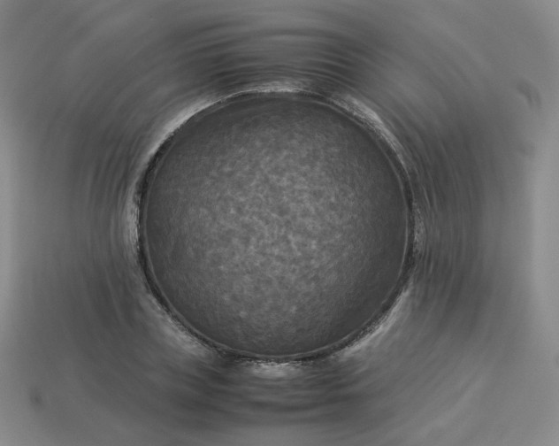 X0000114090835200910191601