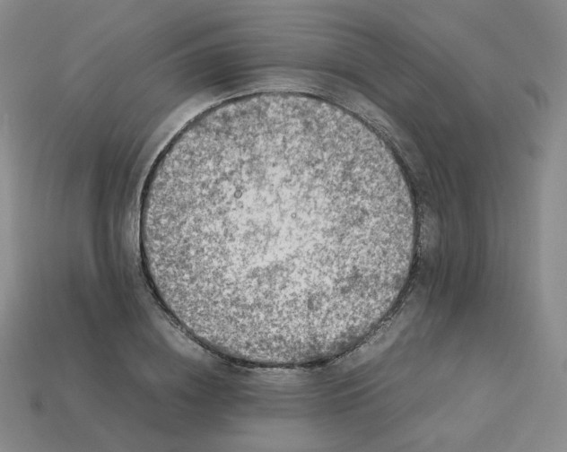 X0000114090836200910191601
