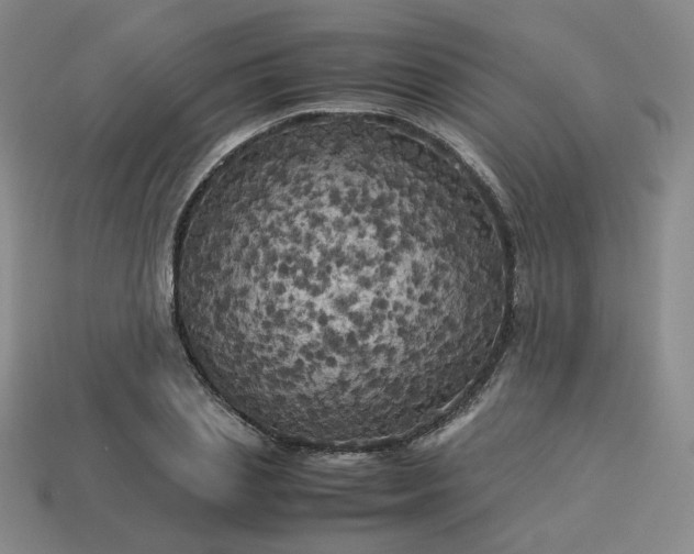 X0000114090837200910191601