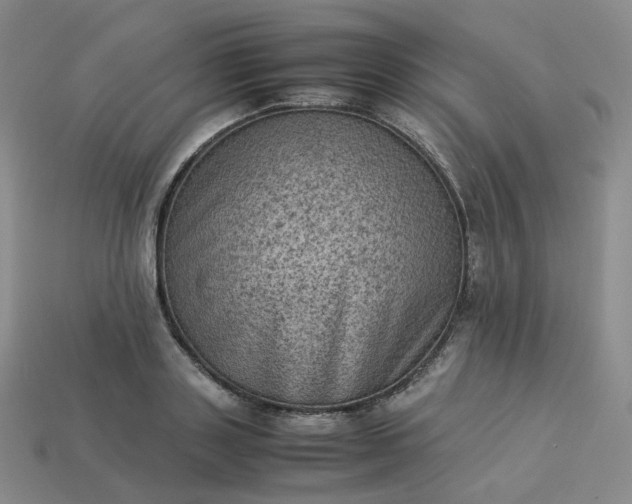 X0000114090843200910191601