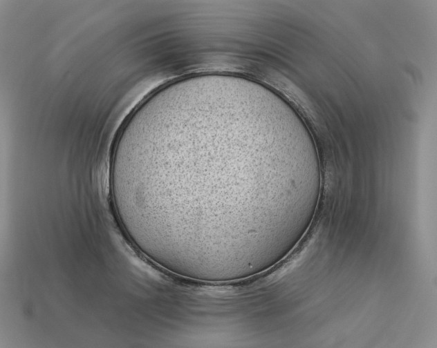 X0000114090844200910191601