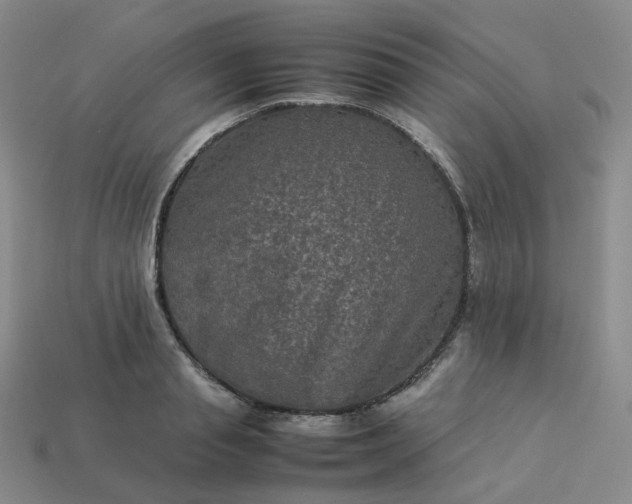 X0000114090845200910191601