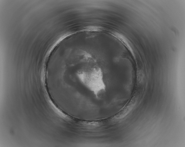X0000114090851200910191601