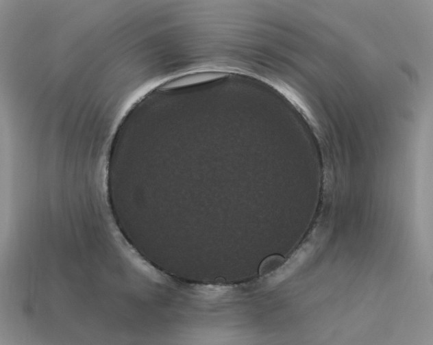 X0000114090854200910191601