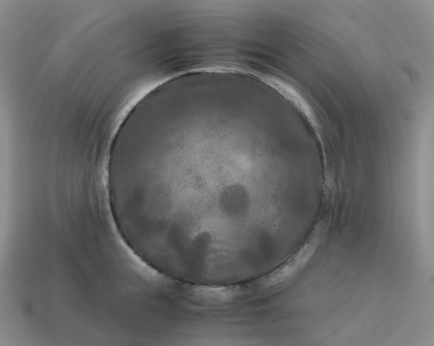 X0000114090855200910191601