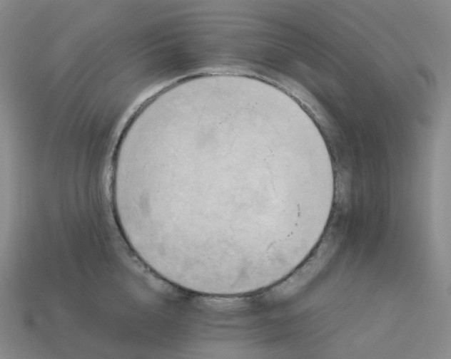 X0000114090856200910191601