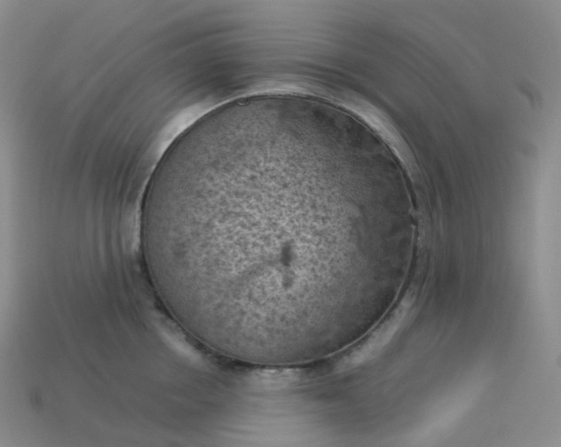 X0000114090858200910191601