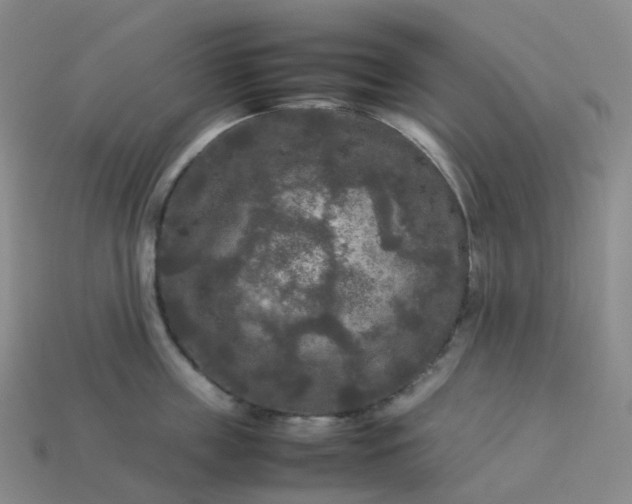 X0000114090859200910191601