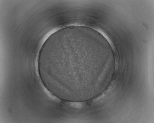 X0000114090861200910191601
