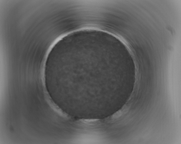 X0000114090864200910191601