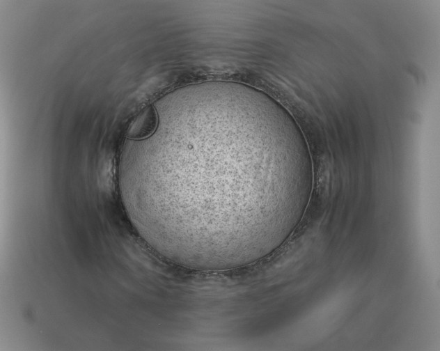 X0000114090866200910191601