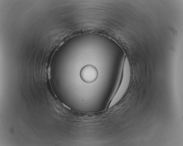 X0000114090868200910191601