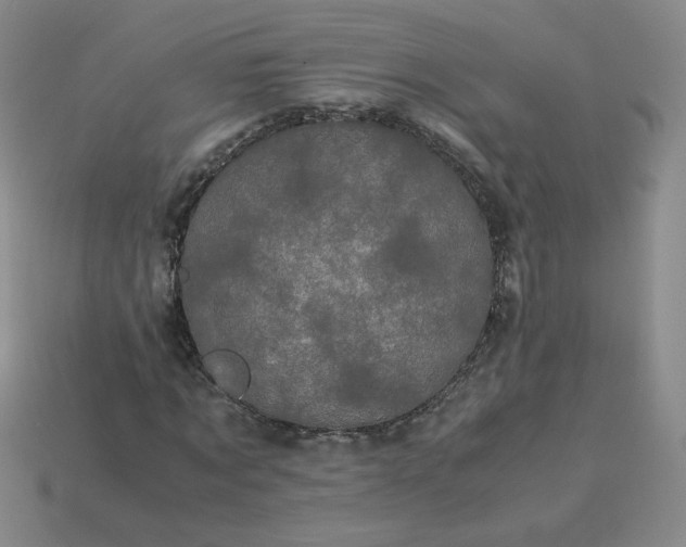 X0000114090869200910191601