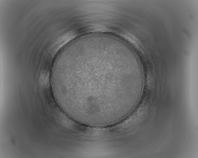 X0000114090873200910191601