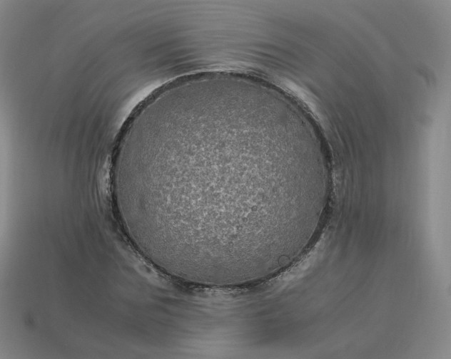 X0000114090875200910191601