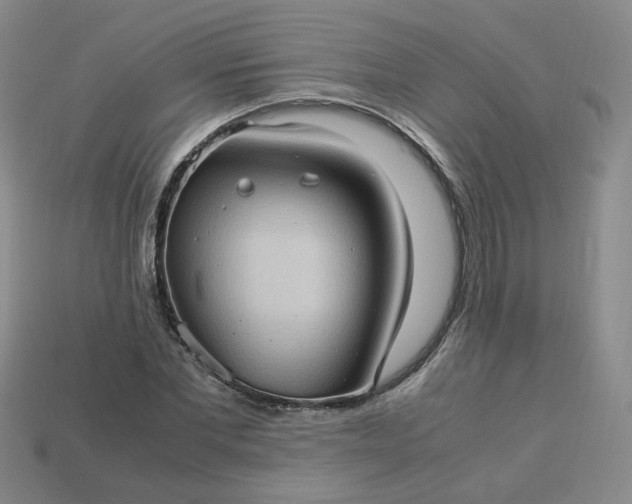 X0000114090877200910191601