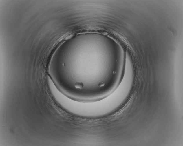 X0000114090881200910191600