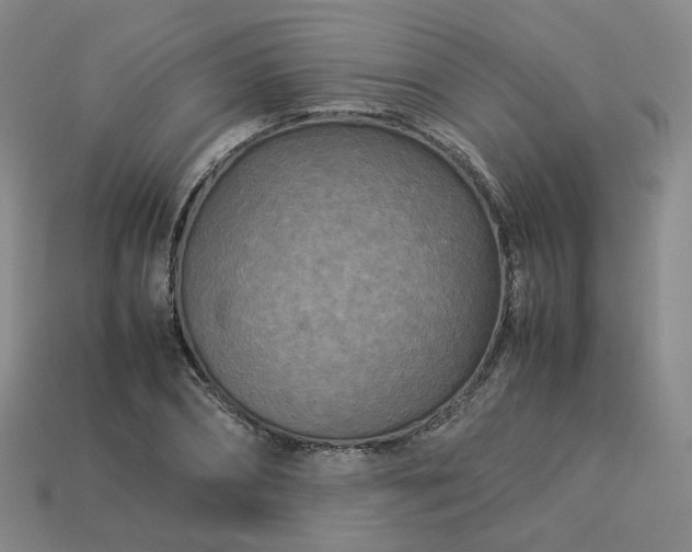 X0000114090882200910191600