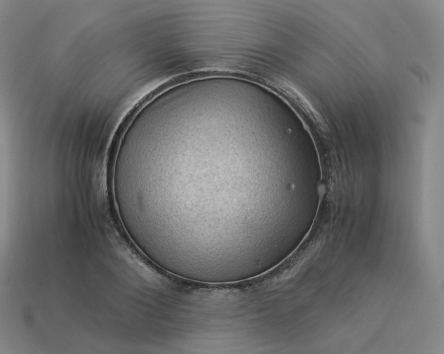 X0000114090884200910191600