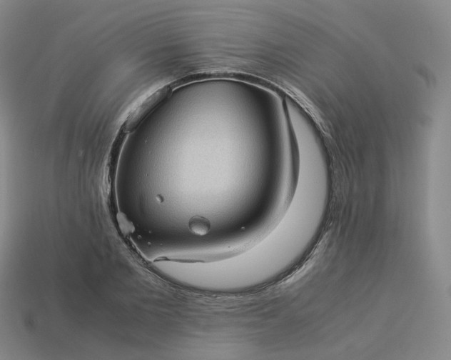 X0000114090885200910191600