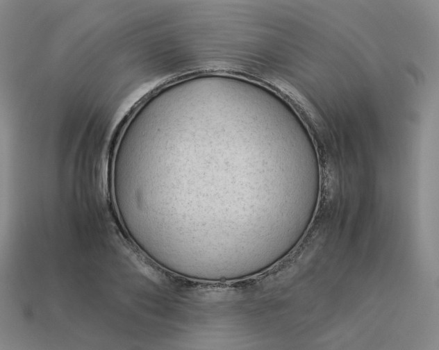 X0000114090886200910191600