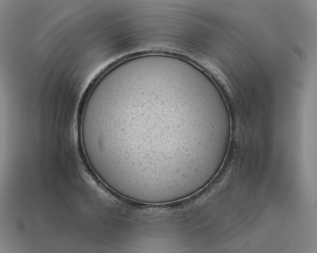 X0000114090888200910191600