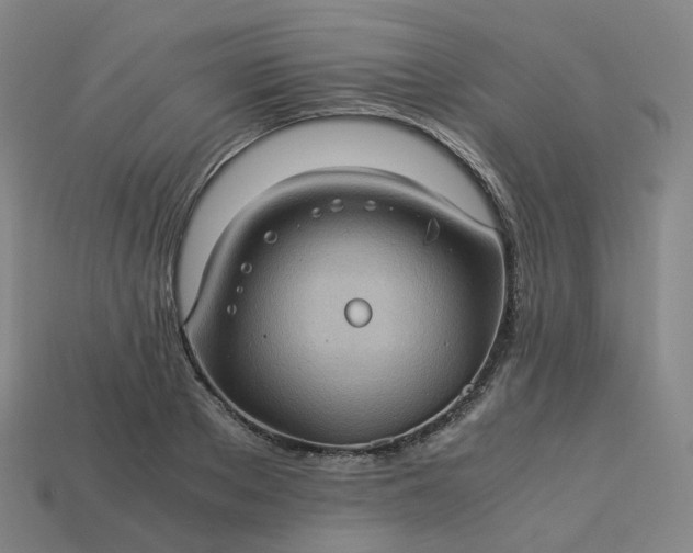 X0000114090889200910191600