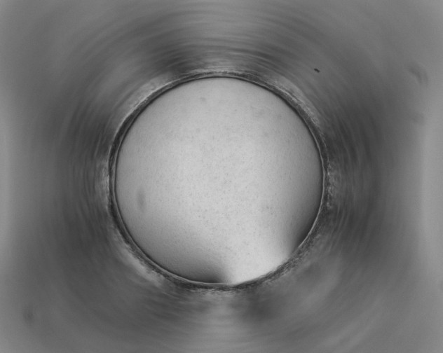 X0000114090890200910191600