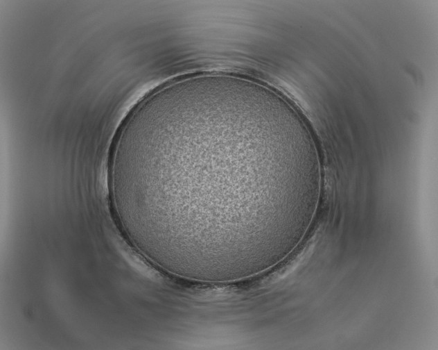 X0000114090891200910191600