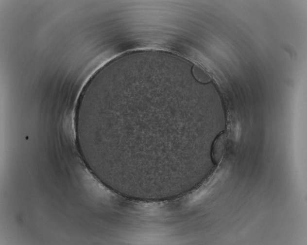 X0000114090892200910191600