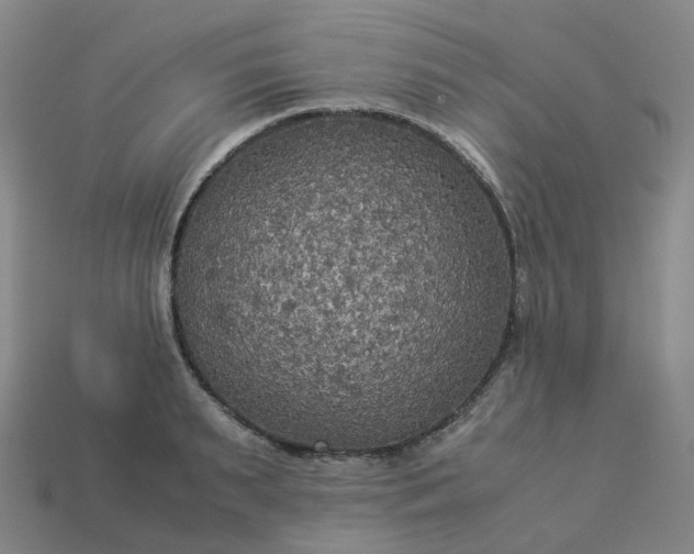 X0000114090895200910191600