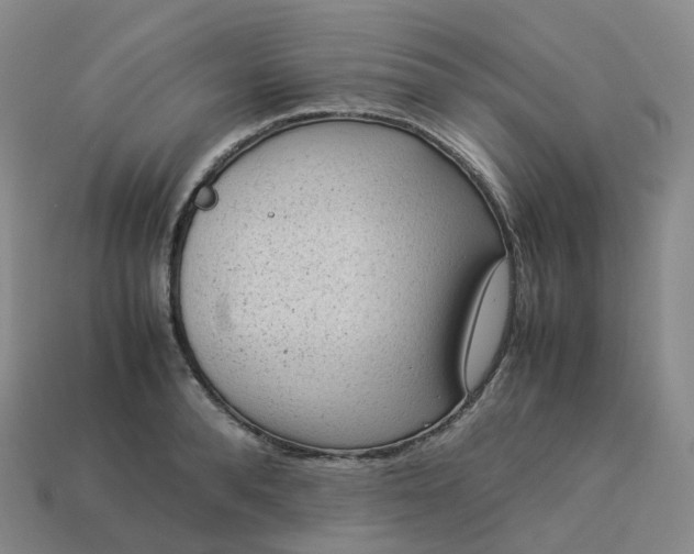 X0000114090896200910191600