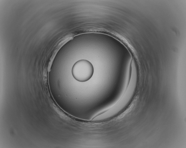 X0000114090897200910191600