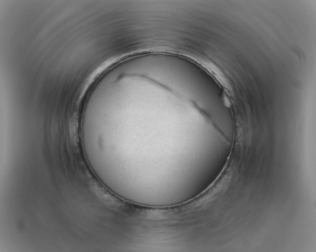 X0000114090904200910191600