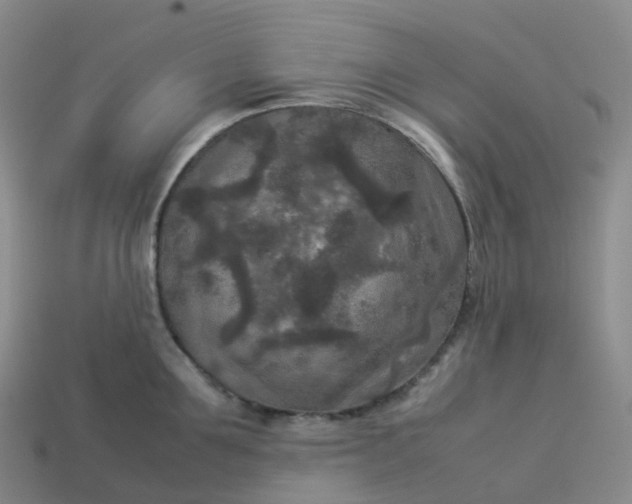 X0000114090907200910191600