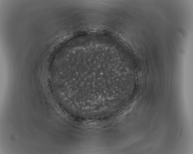 X0000114090913200910191559
