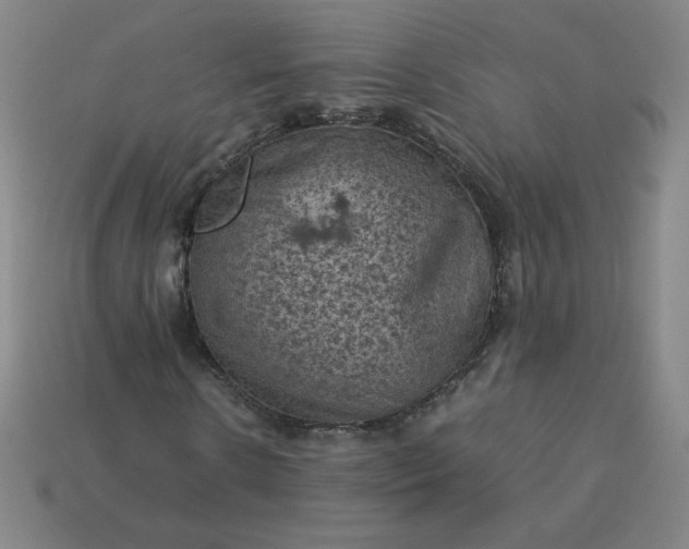 X0000114090914200910191559