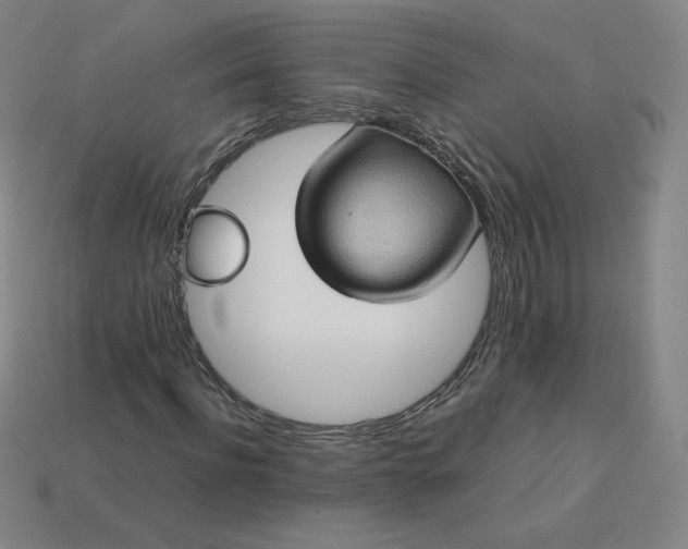 X0000114090916200910191559