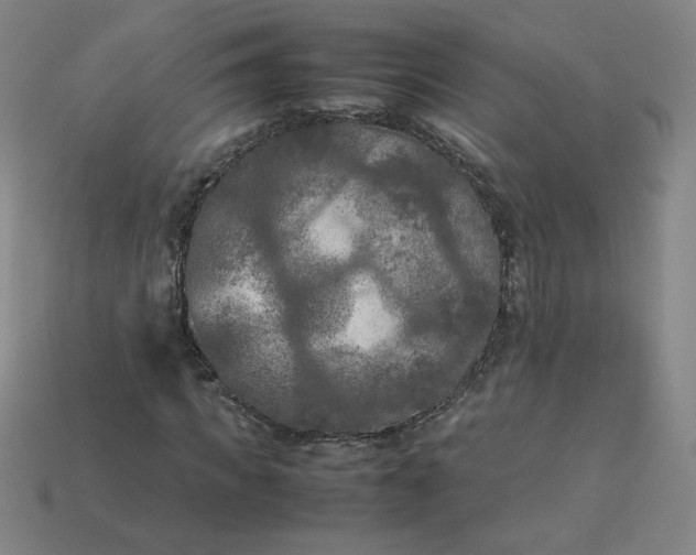 X0000114090917200910191559