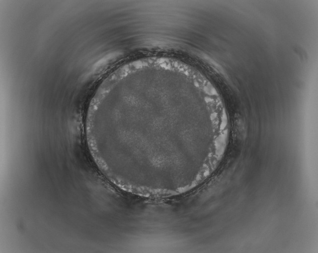 X0000114090918200910191559