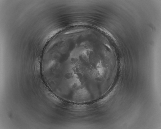 X0000114090921200910191559