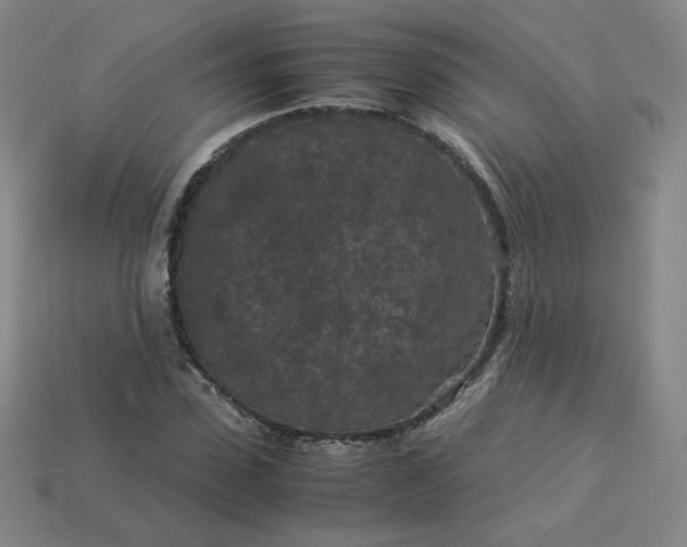 X0000114090923200910191559