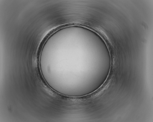 X0000114090924200910191600