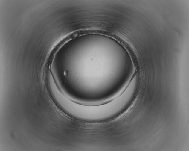 X0000114090925200910191600