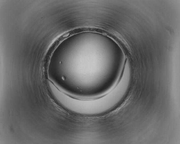 X0000114090926200910191600