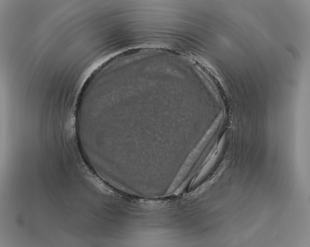 X0000114090928200910191600