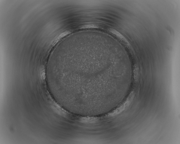 X0000114090929200910191600